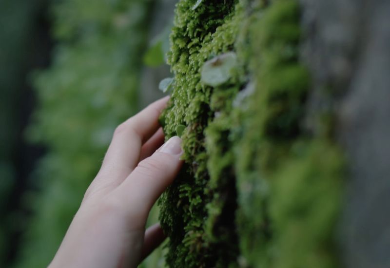 Naturverbundene Aktivitäten